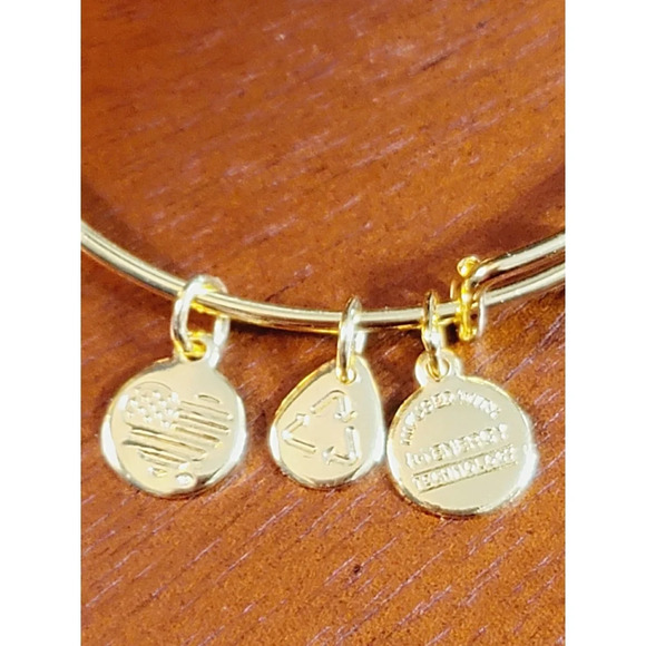 Alex And Ani June Birthstone Bracelet New In Box - Picture 7 of 9